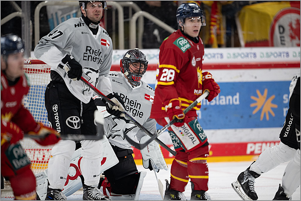 PENNY DEL 1; Düsseldorfer EG - Kölner Haie; Düsseldorf, 24.01.2025